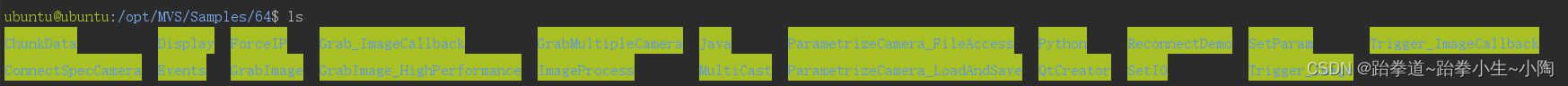 Opencv 海康相机 海康工业相机 python_python_04