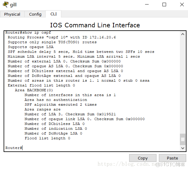 Linux ospf配置 ospf的配置_SYS_17