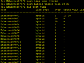 hybrid端口和access端口混用 hybrid端口应用场景_IT_06