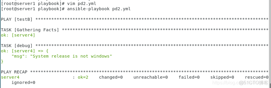 playbook 判断result ansible playbook 判断_字符串_05