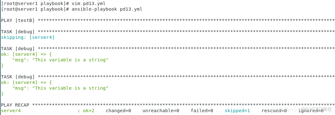 playbook 判断result ansible playbook 判断_字符串_24