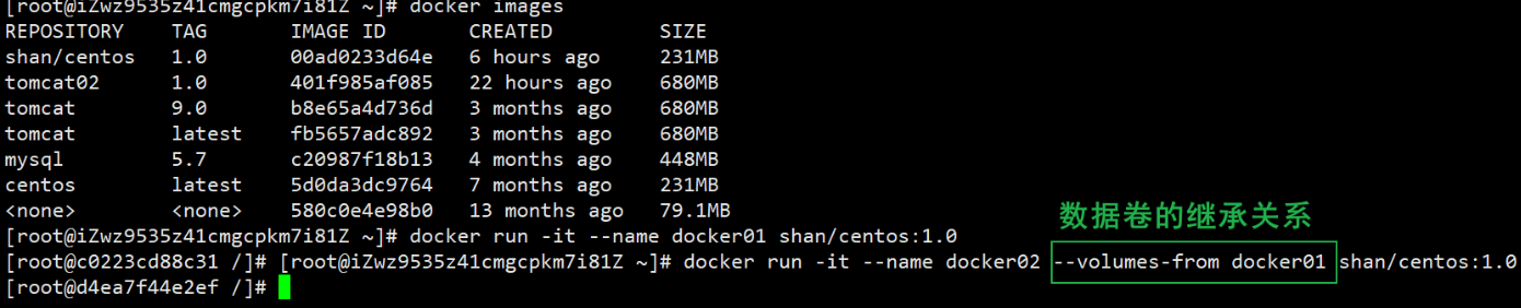 容器处于 exited 容器volume_docker_14