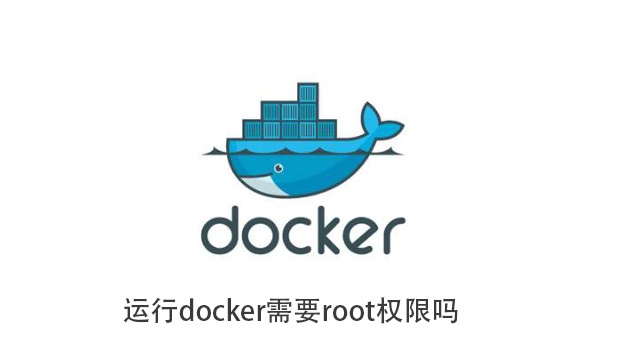 容器以非root用户运行 非root用户运行docker_docker 进入运行容器