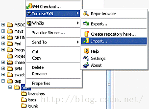 tortoiseSVN如何配置 tortoisesvn提交代码_版本库_10