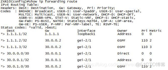 基于单区域OSPF协议互联的公司网络搭建 ospf单区域实验_OSPF_03