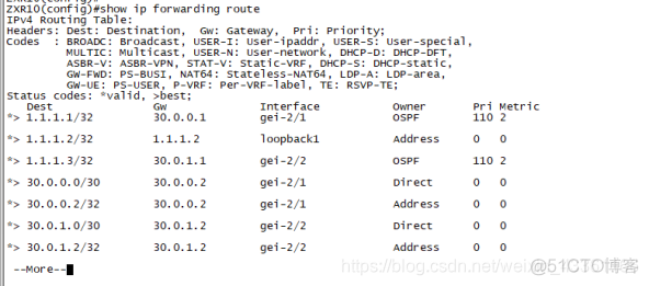 基于单区域OSPF协议互联的公司网络搭建 ospf单区域实验_OSPF_04