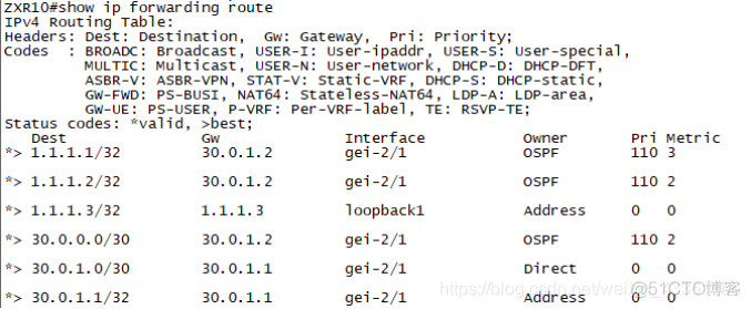 基于单区域OSPF协议互联的公司网络搭建 ospf单区域实验_OSPF_05