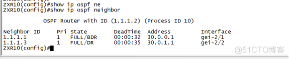 基于单区域OSPF协议互联的公司网络搭建 ospf单区域实验_R3_10