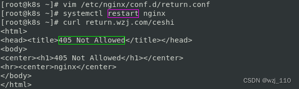 nginx return 的内容怎么取到 nginx return 200,nginx return 的内容怎么取到 nginx return 200_nginx_11,第11张