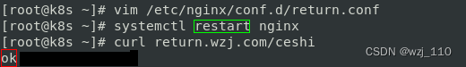 nginx return 的内容怎么取到 nginx return 200,nginx return 的内容怎么取到 nginx return 200_重定向_12,第12张