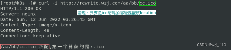 nginx return 的内容怎么取到 nginx return 200,nginx return 的内容怎么取到 nginx return 200_rewrite_75,第75张