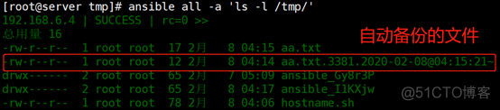 ansible roles shell命令 ansible shell例子_python_08