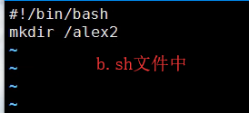 ansible 远程执行 ansible远程执行可执行文件_shell_08