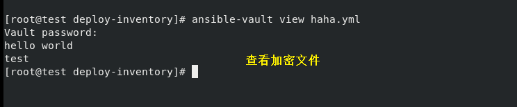 ansible 查看变量 ansible 变量详解(三)_自定义_05