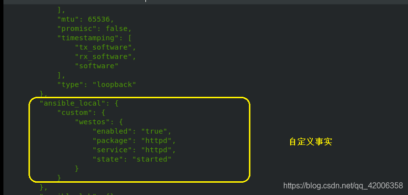 ansible 查看变量 ansible 变量详解(三)_自定义_11