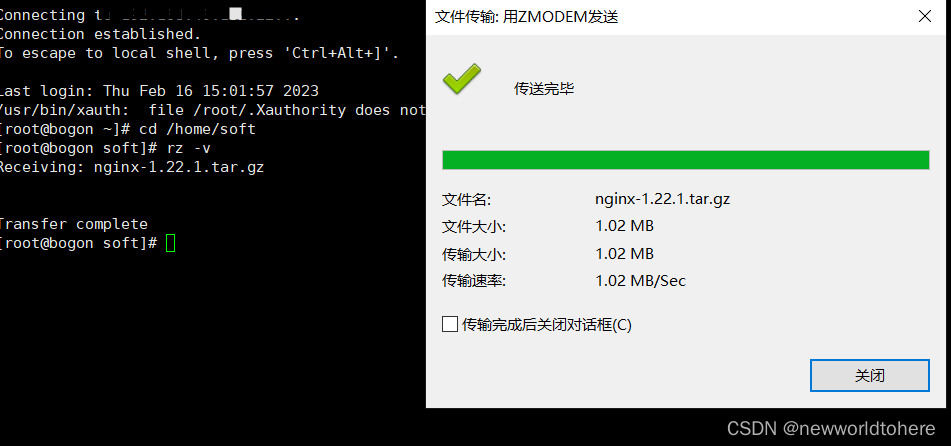 nginx windows修改root不起作用 nginx root权限_nginx_11