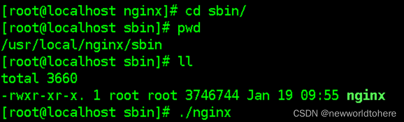 nginx windows修改root不起作用 nginx root权限_运维_13