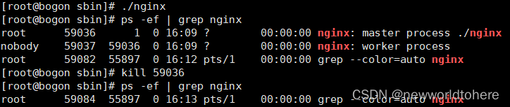 nginx windows修改root不起作用 nginx root权限_运维_17