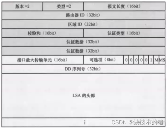 ospf的dn位作用 ospf协议中dn比特位_网络_02