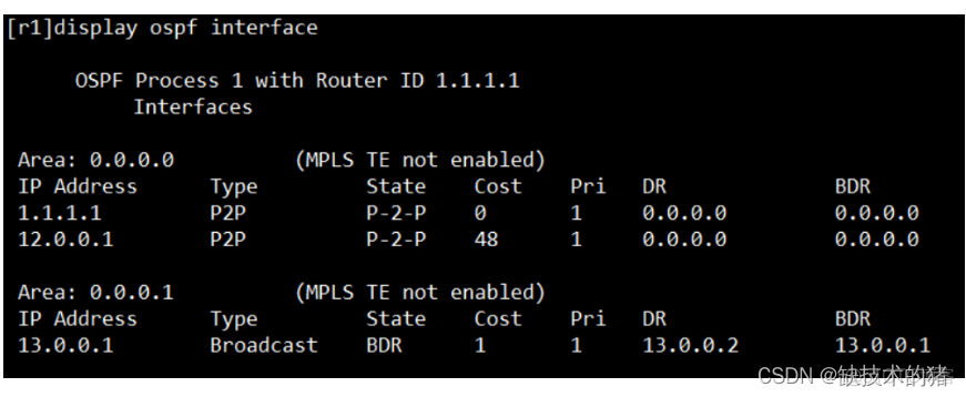 ospf的dn位作用 ospf协议中dn比特位_数据_04