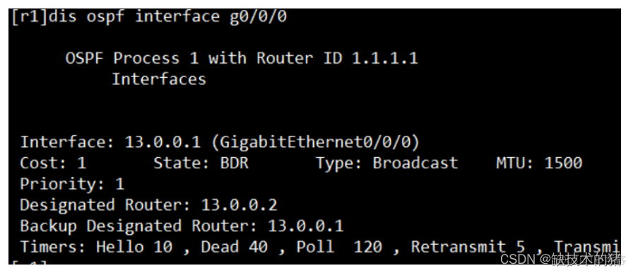 ospf的dn位作用 ospf协议中dn比特位_链路_05