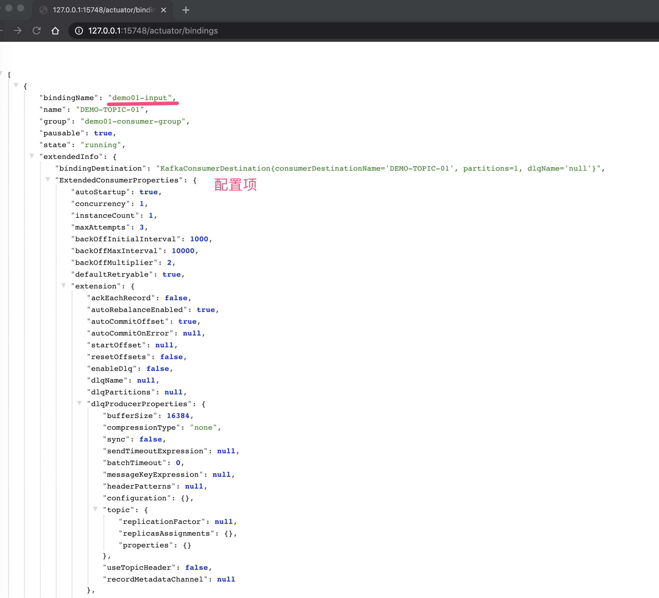 HikariData支持springcloud吗 springcloud kafka_配置项_23