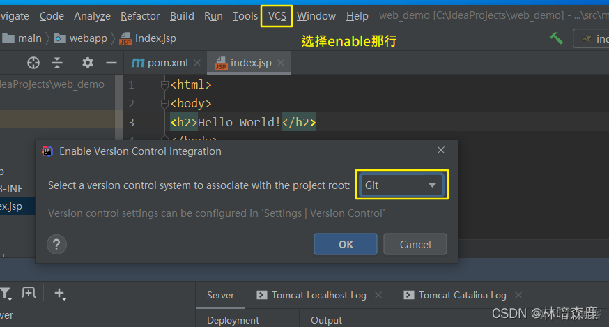 Jenkins脚本运行git命令怎么获取权限 jenkins git push_intellij-idea_25