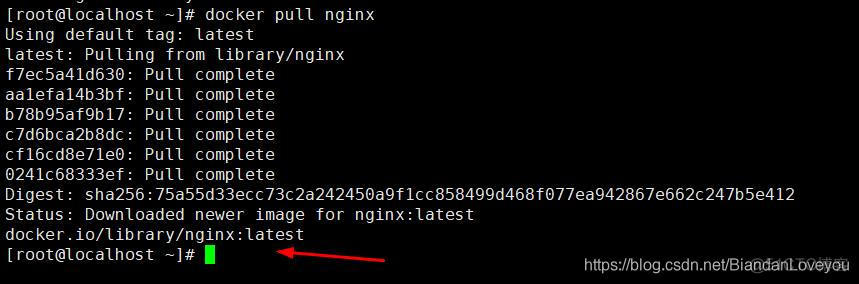 加载本地镜像文件开启镜像 如何加载镜像_nginx_10