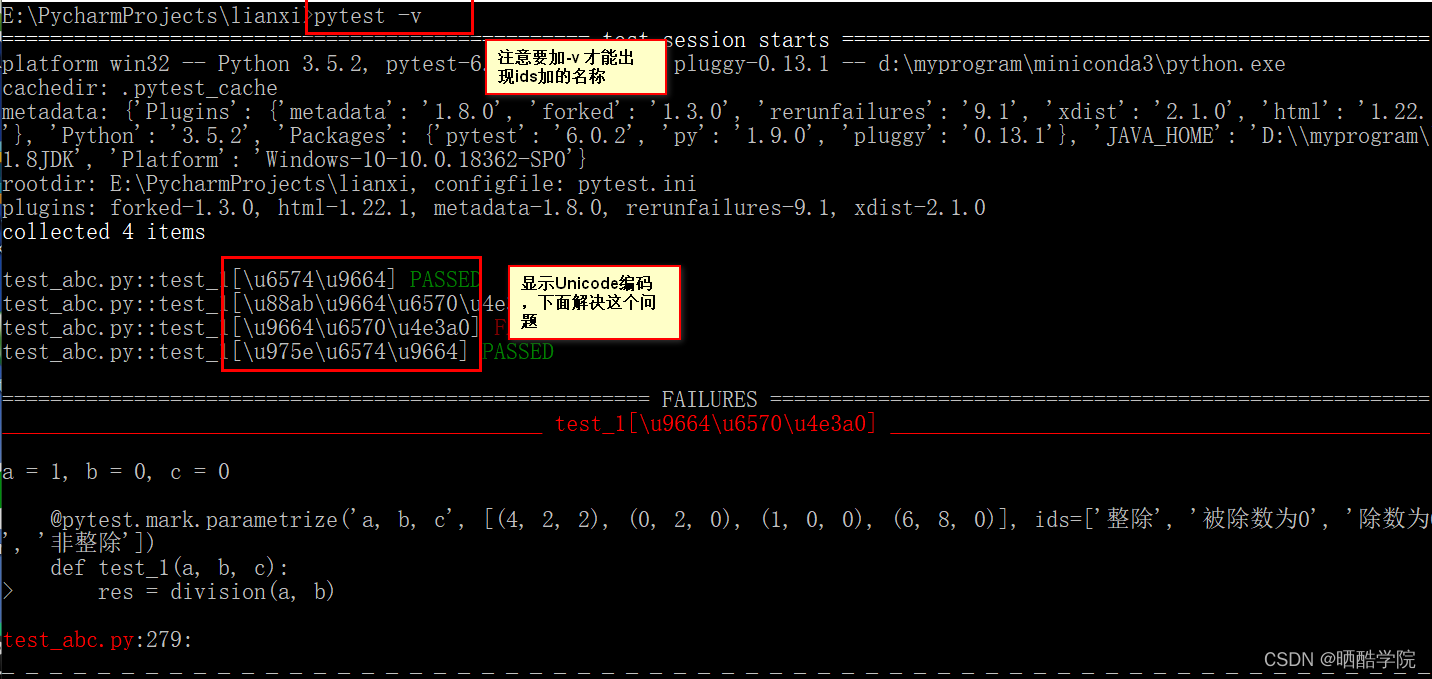 pytest 标记 自定义 向pytest传入自定义参数_pytest 标记 自定义_04