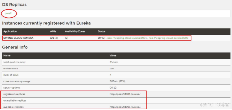 Eureka结合nginx eureka serviceurl_spring_02