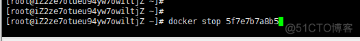 在服务器安装esxi 在服务器安装nginx还是docker安装_docker_23