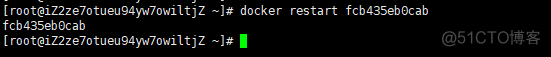 在服务器安装esxi 在服务器安装nginx还是docker安装_docker_25