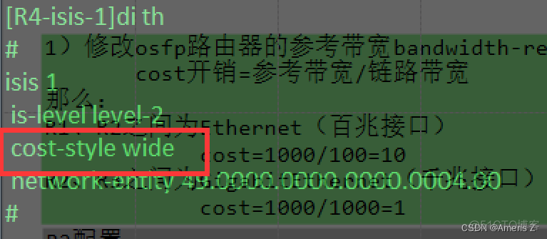 OSPF的MTU不一致 ospf的tag_网络协议_03