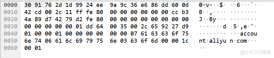 配置容器dns 配置dns的命令_DNS_02