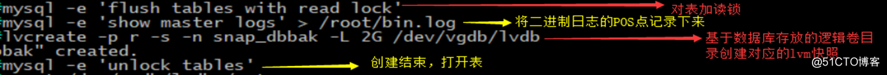 查看linux MariaDB的密码 linux中mariadb_操作系统_12