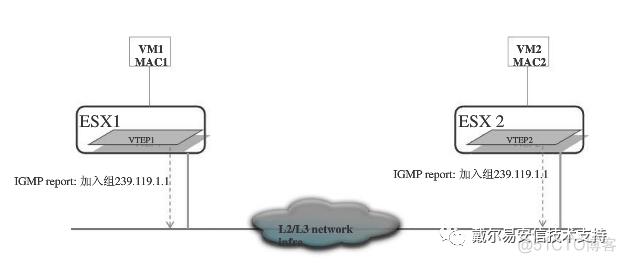 vxlan端口号是多少 vxlan udp端口号_封装_02