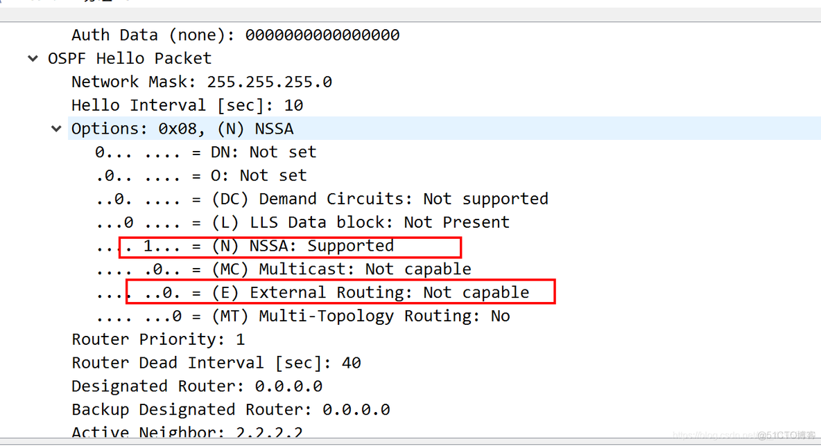 ospf建立邻居关系命令 ospf建立邻居条件_OSPF_05