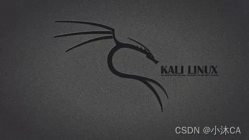 kali nethunter镜像 kali镜像官网_kali