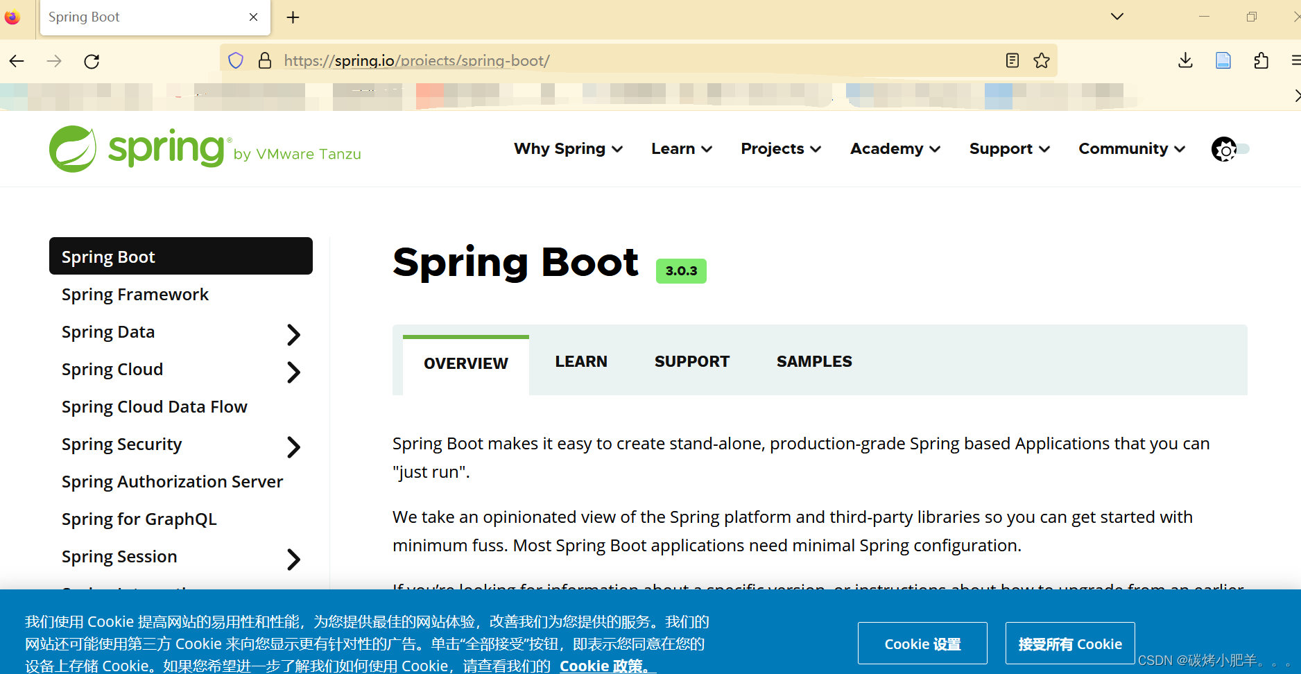 springboot 菜鸟教程 springboot详细入门_Java_09