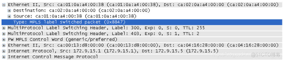 mpls数据转发过程 mpls数据包转发过程_IP_05