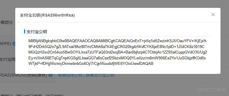 支付宝沙箱 aes 支付宝沙箱版下载_支付宝_10