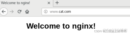 nginx 支持txt nginx 支持patch_运维_11