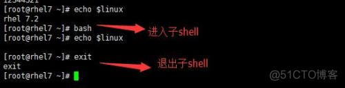 bash echo变量到文件 shell echo输出变量_变量名_13