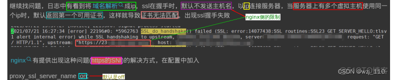 nginx 强制ssl nginx ssl proxy_客户端_18