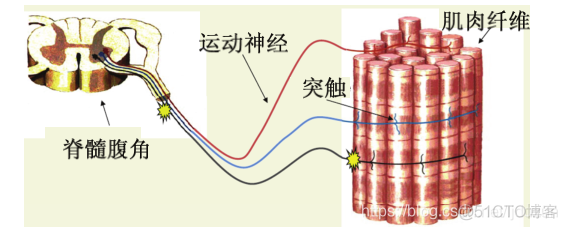 embb原理 emg原理_人工智能