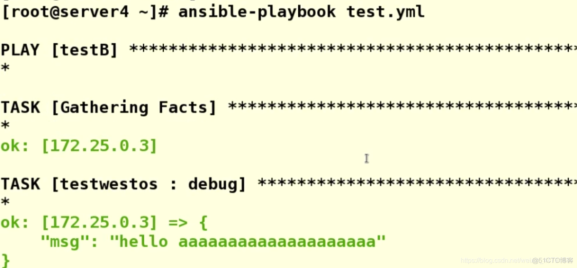 ansible 如果目录存在 ansible vars_files_元数据_30