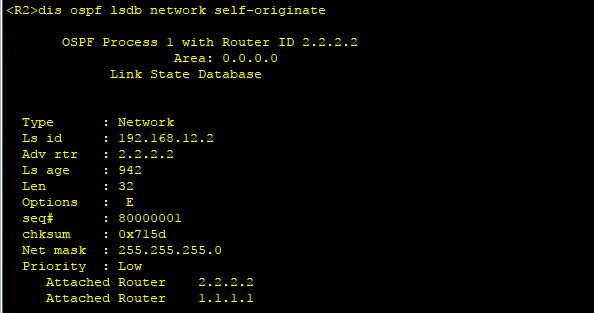 ospf路由汇总后怎么查看 如何查看ospf路由表_链路_05