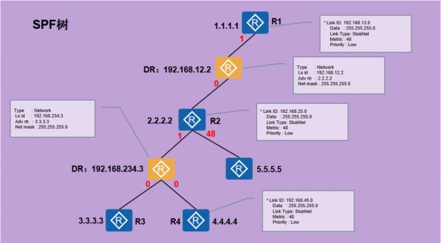 ospf路由汇总后怎么查看 如何查看ospf路由表_Network_12