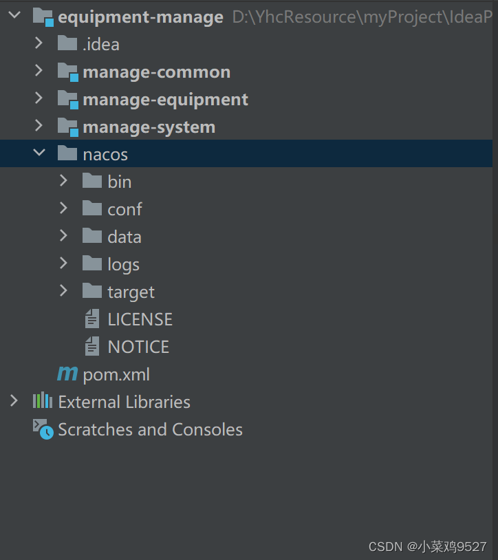 ecplise 新建springcloud项目 如何创建springcloud项目_spring boot_22