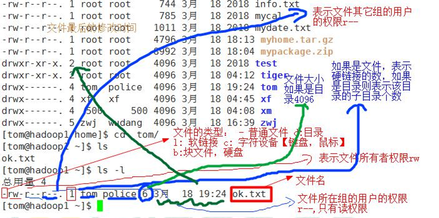 centos7给文件权限 centos7权限管理_hg